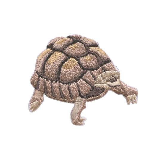 Aufnäher "Lass sie nicht allein! Kreaturen Gefährdete Art Ägyptische Landschildkröte H459-163-7“ Hamanaka