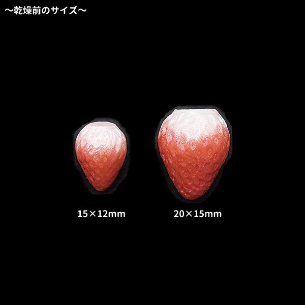 粘土レジン用型 『クレイジュエリー型抜き いちご立体ミニ 389』 日清アソシエイツ