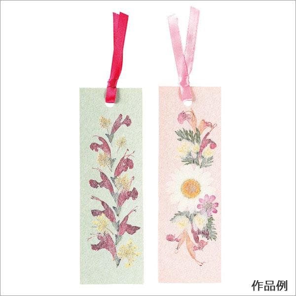 Washi "Washi no Gakuen" Пять цветов "kt555"