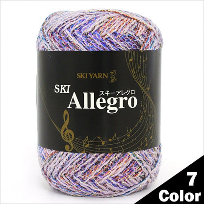 秋冬毛糸 『SKI Allegro (スキーアレグロ) 2854番色』 SKIYARN スキーヤーン