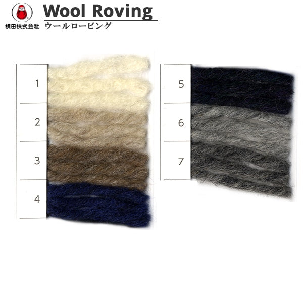 秋冬毛糸 『Wool Roving (ウールロービング) 2番色』 DARUMA ダルマ 横田