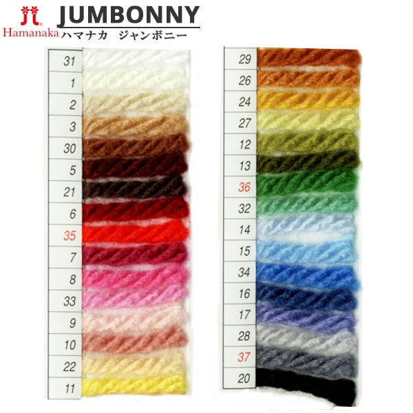 Yarn "Hamanaka Jumbony 35th color" Hamanaka