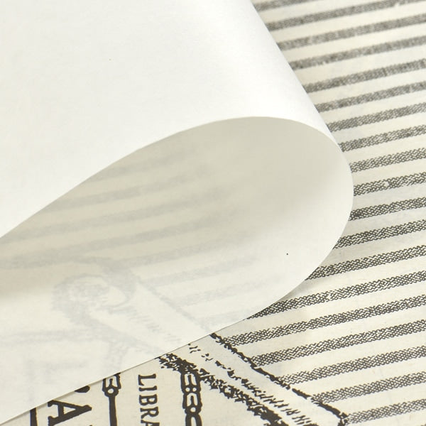 Dessin Paper "Draft Paper (épais) 10 feuilles"