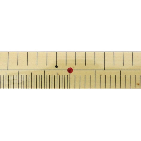 ものさし 『竹製ものさし 細巾 鯨尺2尺 cm付』 KA 近畿編針 – Yuzawaya