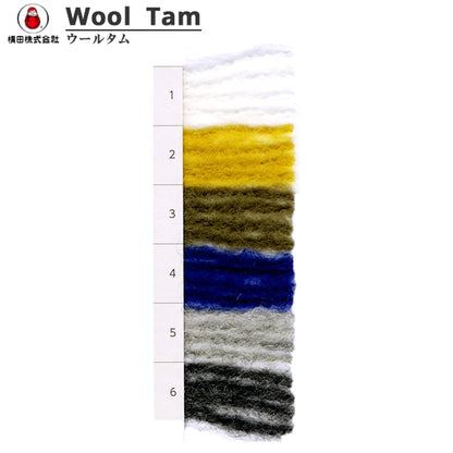 Fall and winterYarn "WOOL TAM (Wooltum) 3rd color" DARUMA DARUMA Yokota