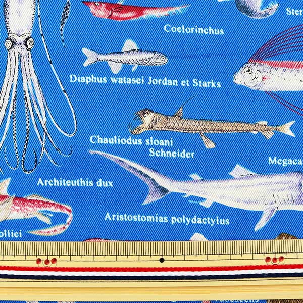 [Aus Quantität 5] Stoff "Twilldruck Stoff Taill Tiefsee Fisch Stoff Eingang Innenbauer B blau" Cotton Kobayashi Baumwolle Kobayashi Kobayashi.