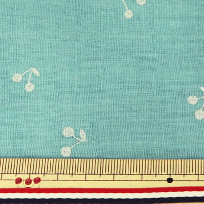 [De la quantité 5] tissu "w Gauze (double gaze) boiteux boiteux bleu-vert kts6525-g" coton kobayashi cotton kobayashi kobayashi.