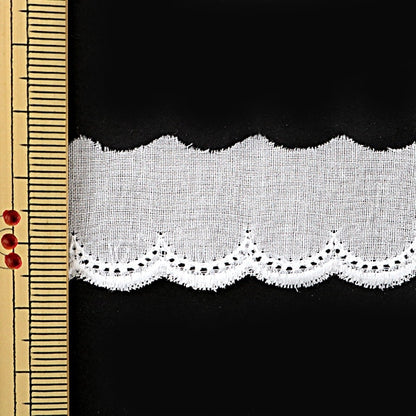 [From quantity 5] RaceRibbonTape "Cotton lace white width about 24mm 3316"