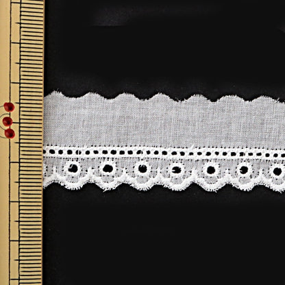 [From quantity 5] RaceRibbonTape "Cotton lace white width 23mm 23319-1"