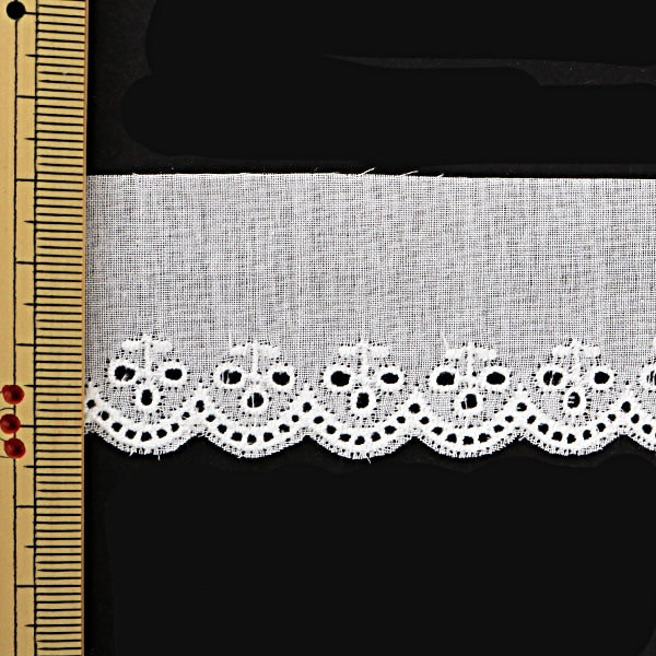 [From quantity 5] RaceRibbonTape "Cotton lace white width 33mm 626758"