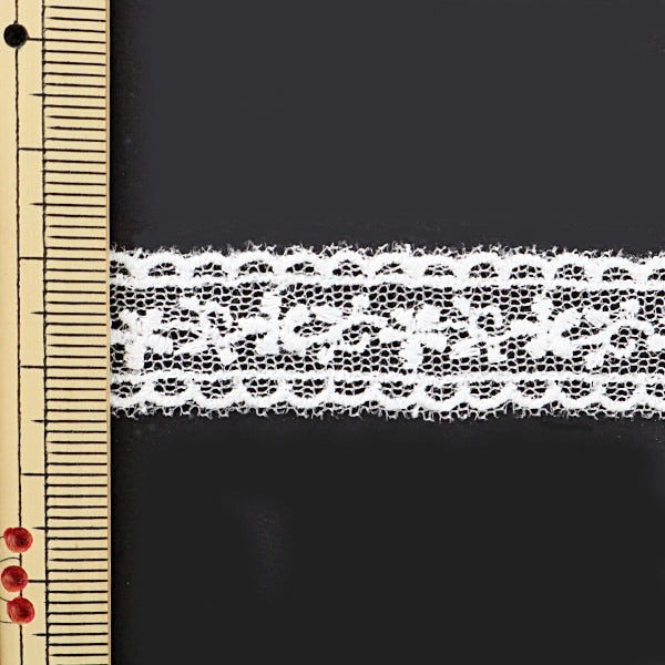 [From quantity 5] RaceRibbonTape "Tulle lace white width about 15mm 24219"