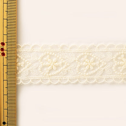 [From quantity 5] RaceRibbonTape "Tulle lace generation width about 28mm T24181-12"