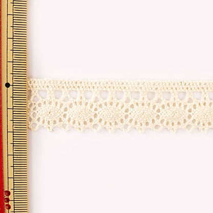 [From quantity 5] RaceRibbonTape "Torsion Lace Produced width about 23mm 21276-E]