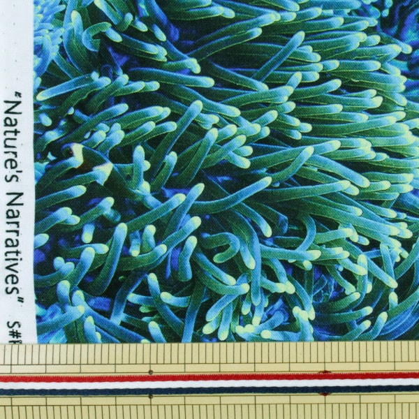 [Dalla quantità 5] tessuto "Anemone marino stampato a getto d'inchiostro R4664-316" Cotton USA