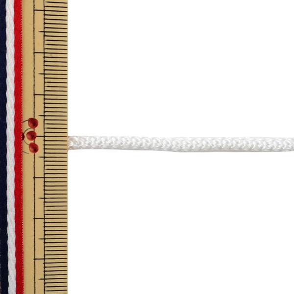 [Dalla quantità 5] artigianato Higo "Edo Break 4mm Larghezza 273-1 Park White"