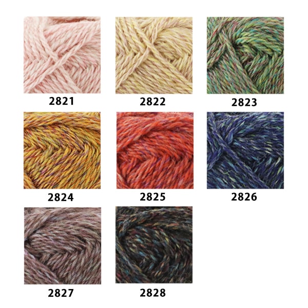 Осень / зимняя шерсть "Ski Lana Melange 2821 Color" Skiyarn Ski пряжа