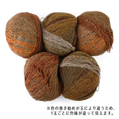 Fall and winterYarn "Yugure 4th color" NORO Hidaku Noro