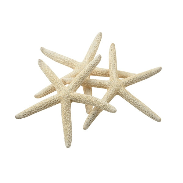 Accessoire Material "Shell Parts White Star Fish klein 066"