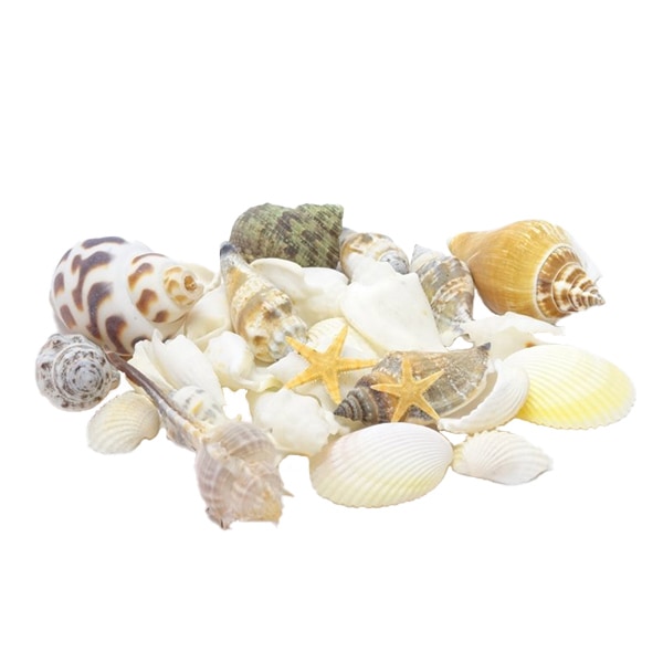 Zubehörmaterial "Shell Parts Shellmix 999"