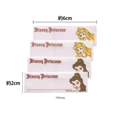 Emblem "Disney Name Label Aurora Prinzessin Bell My100" Pioneer Pioneer