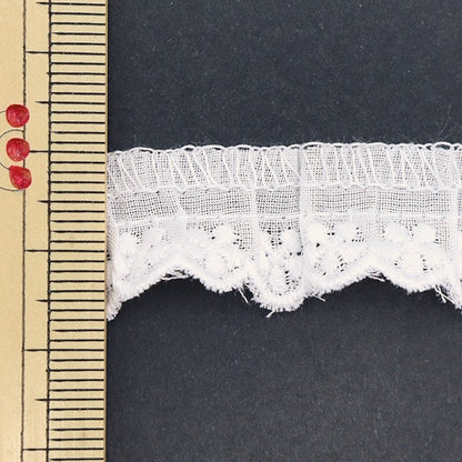 [From quantity 5] Race "Cotton frills 2nd color 1089F-2"