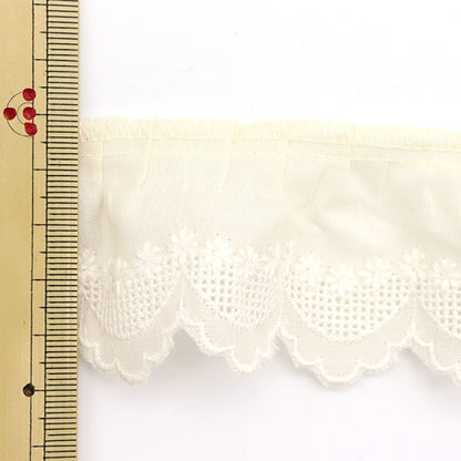 [From quantity 5] Race "Cotton frill 3rd color 13035F-3"