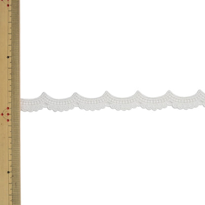 [Desde la cantidad 5] Cinta de ribona de encaje "Tul Lace 62142K 00 Color" Mokuba Horse