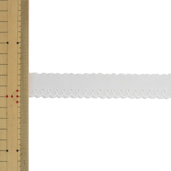 [Aus Quantität 5] Spitze Ribon -Klebeband "Baumwollspitze 60268K 00 rechts" Mokuba Wood Horse