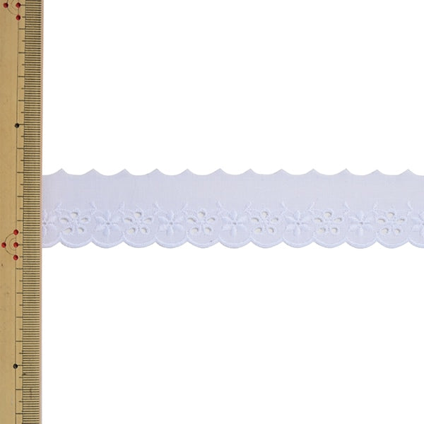 [Aus Quantität 5] Spitze Ribon Tape "Baumwollspitze 6049k 2. Farbe" Mokuba Wood Horse