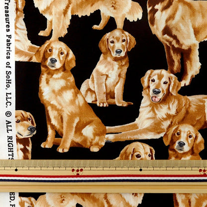 [Aus Menge 5] Stoff "Inkjet-Druck Golden Retriever C4892-Golden" USA Baumwolle