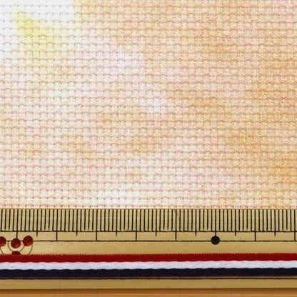 Stickstofftuch "Charles Craft Printed Aida (Print AIDA) 14 Count 55 55. 3855 Farbe (Sand Sandstrand)" DMC -Diät