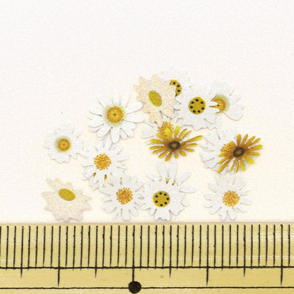 Resin material "Vijucrail Flower Flakes 1 White Approximately 40 pieces 10-3315" Tokyo trade