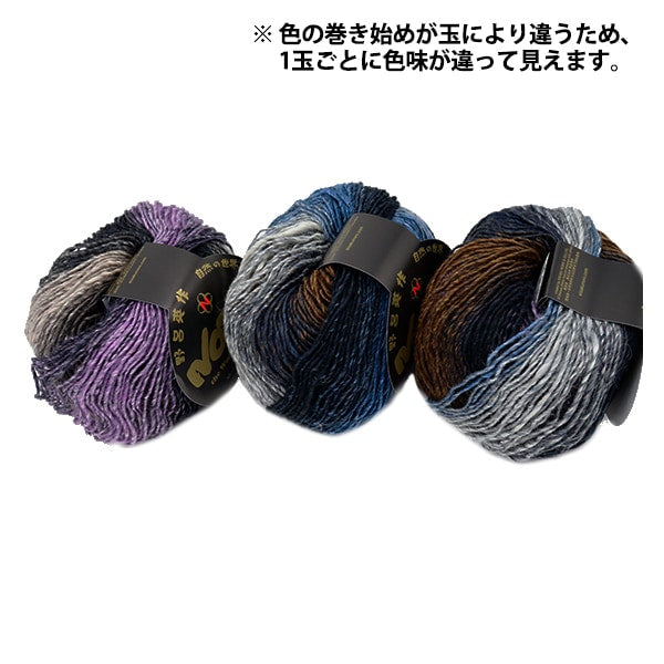 Lana autunnale / inverno "Silk Gar den Fine 1201" Noro Eisaku Noro