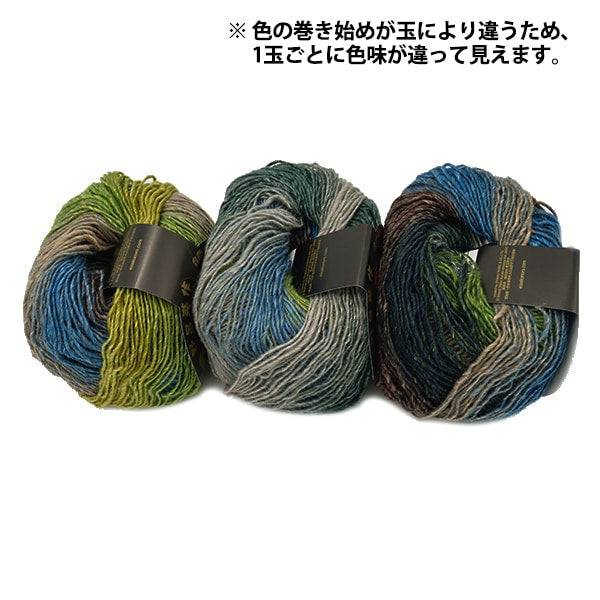 Autumn / Winter Wool "Silk Gar den Fine 1203 No. 1203" Noro Hidaku Noro