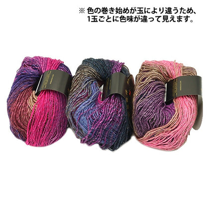 秋冬紗線 “絲綢gar den fine 1205。” Noro Hidaku Noro