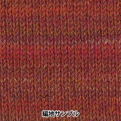 Autunno e invernoFilato "Tree House Breath 802 Colore" Olympus