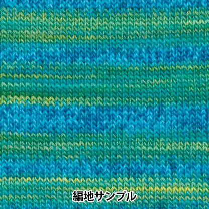 가을과 겨울털실 "메이크업 메이크업 1005 번째 컬러" Olympus