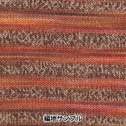 가을과 겨울털실 "메이크업 메이크업 100 1012 컬러" Olympus