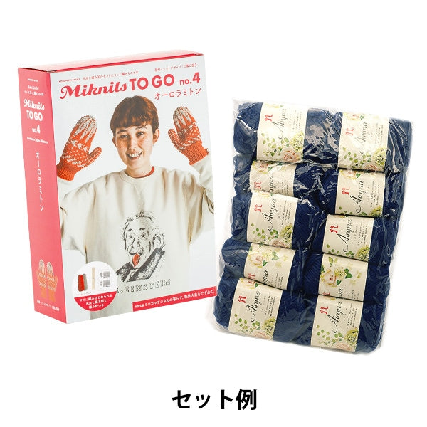 Knitting kit "MIKNITS TO GO Auroramiton + Airina 10 balls"