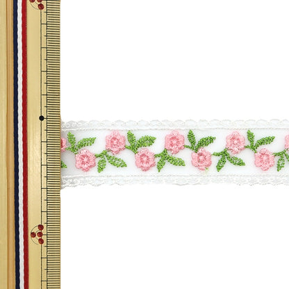 Race "Clin Place 1m Pack Pink"