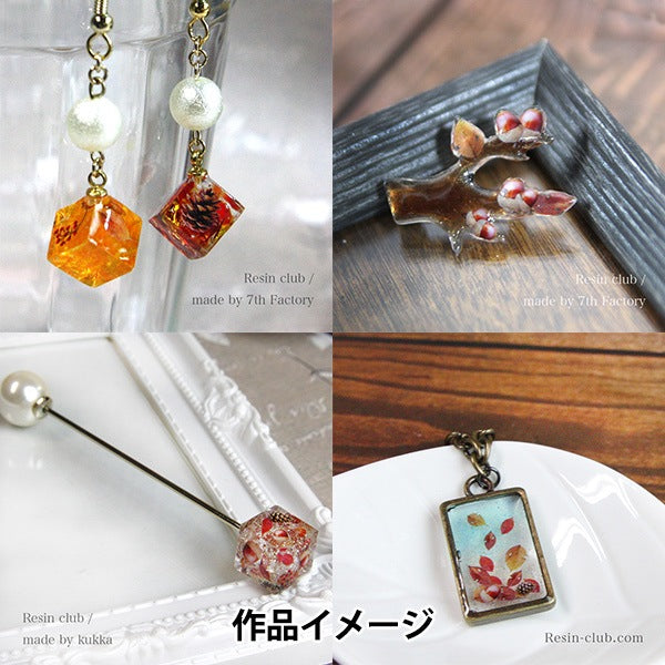 レジン材料 『どんぐりと落ち葉 両面 RC-ACO-101』 レジンクラブ