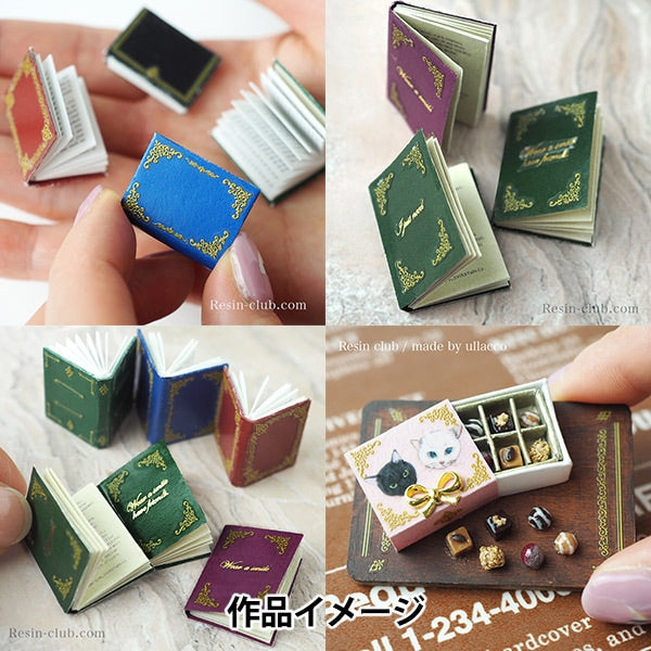 Resin material "Miniature book binding double-sided RC-MNT-012" resin club