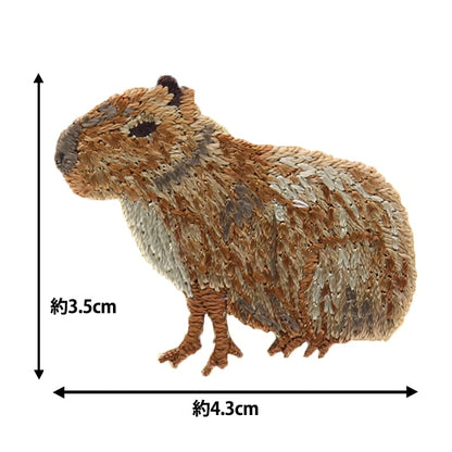 Toppa "CHI SEI?" Hamanaka