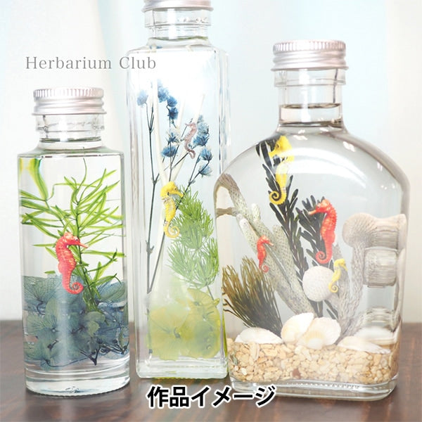 ハーバリウム用品 『ハーバリウムクラブ タツノオトシゴ HR-SEH-101
