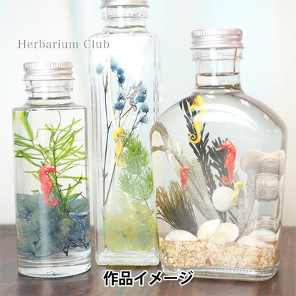 معشبةاللوازم ``معشبةنادي سي هورس HR-SEH-101”