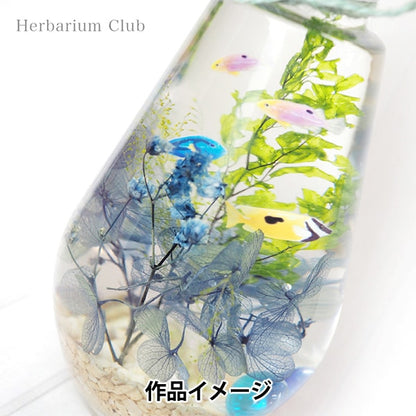 ハーバリウム用品 『ハーバリウムクラブ 熱帯魚2 HR-NTG-201』