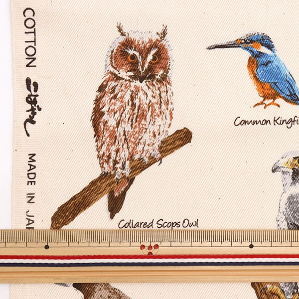 [From quantity 5] Fabric "Twill wild bird picture book Natural KTS6890-A" COTTON KOBAYASHI