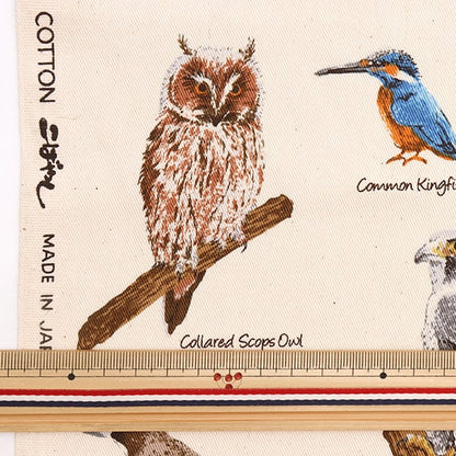 [From quantity 5] Fabric "Twill wild bird picture book Natural KTS6890-A" COTTON KOBAYASHI