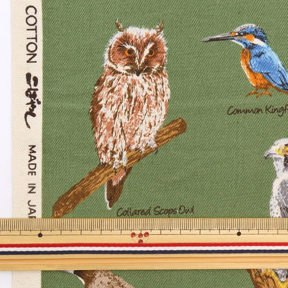 [Aus Quantität 5] Stoff "Twill Wild Bird Bilderbuch KTS6890-C" Cotton Kobayashi Cotton Kobayashi Kobayashi.