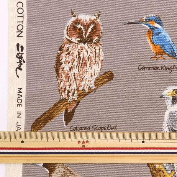 [From quantity 5] Fabric "Twill bird picture book gray KTS6890-D" COTTON KOBAYASHI